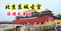 美女被操视频黑丝美女中国北京-东城古宫旅游风景区